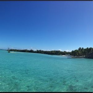 Meet your Posher, Hailey